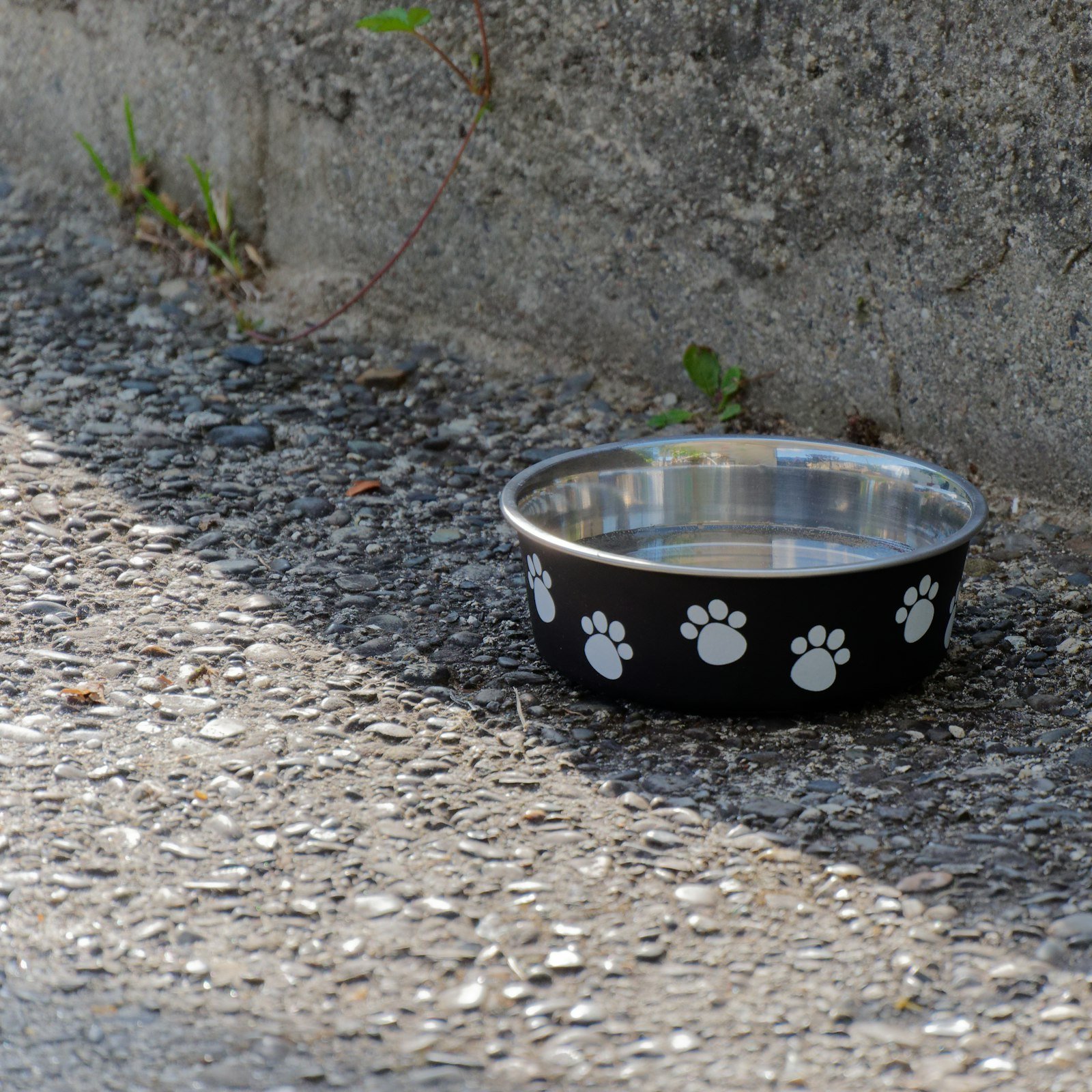 Stainless steel dog bowl with paw prints