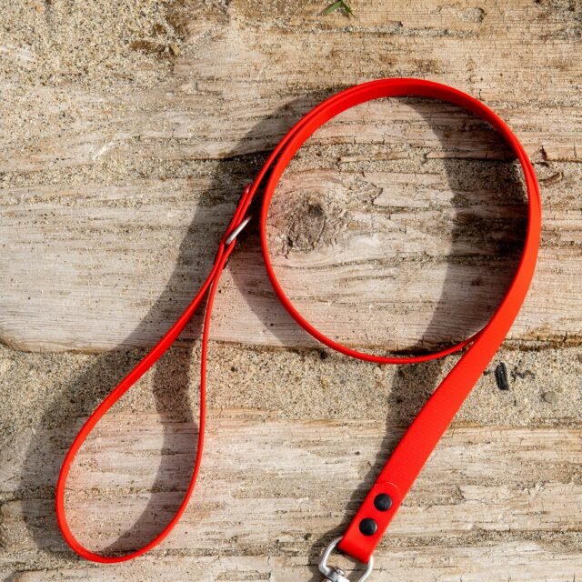 Dog leash on a wooden floor
