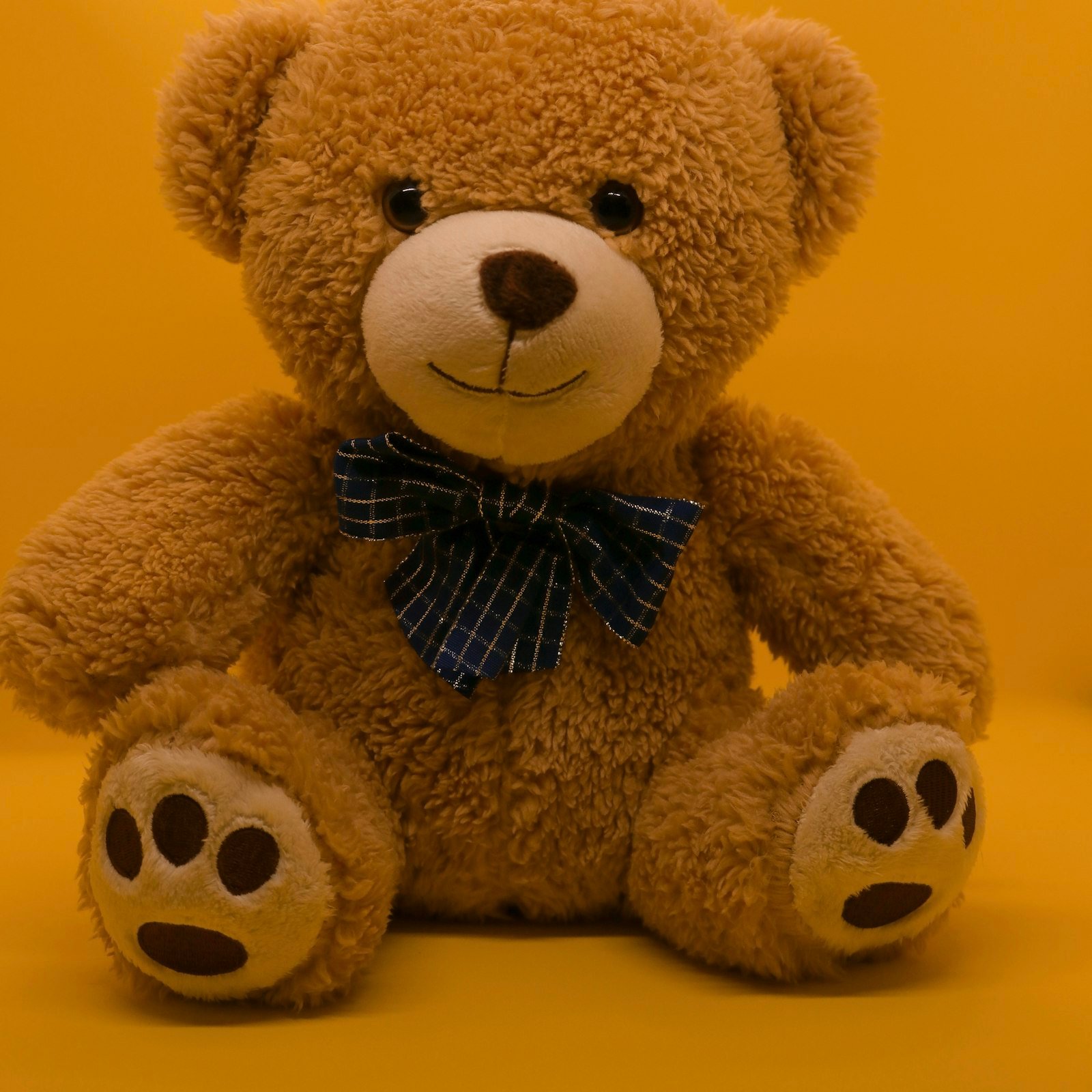 Brown plush teddy bear